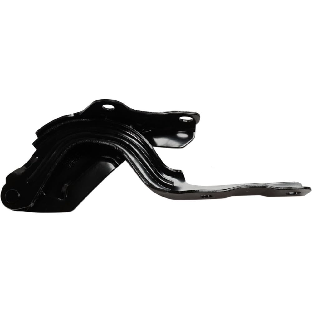 Amazon.com: JIJIGUA 1pc Hood Hinge Assembly Right Passenger